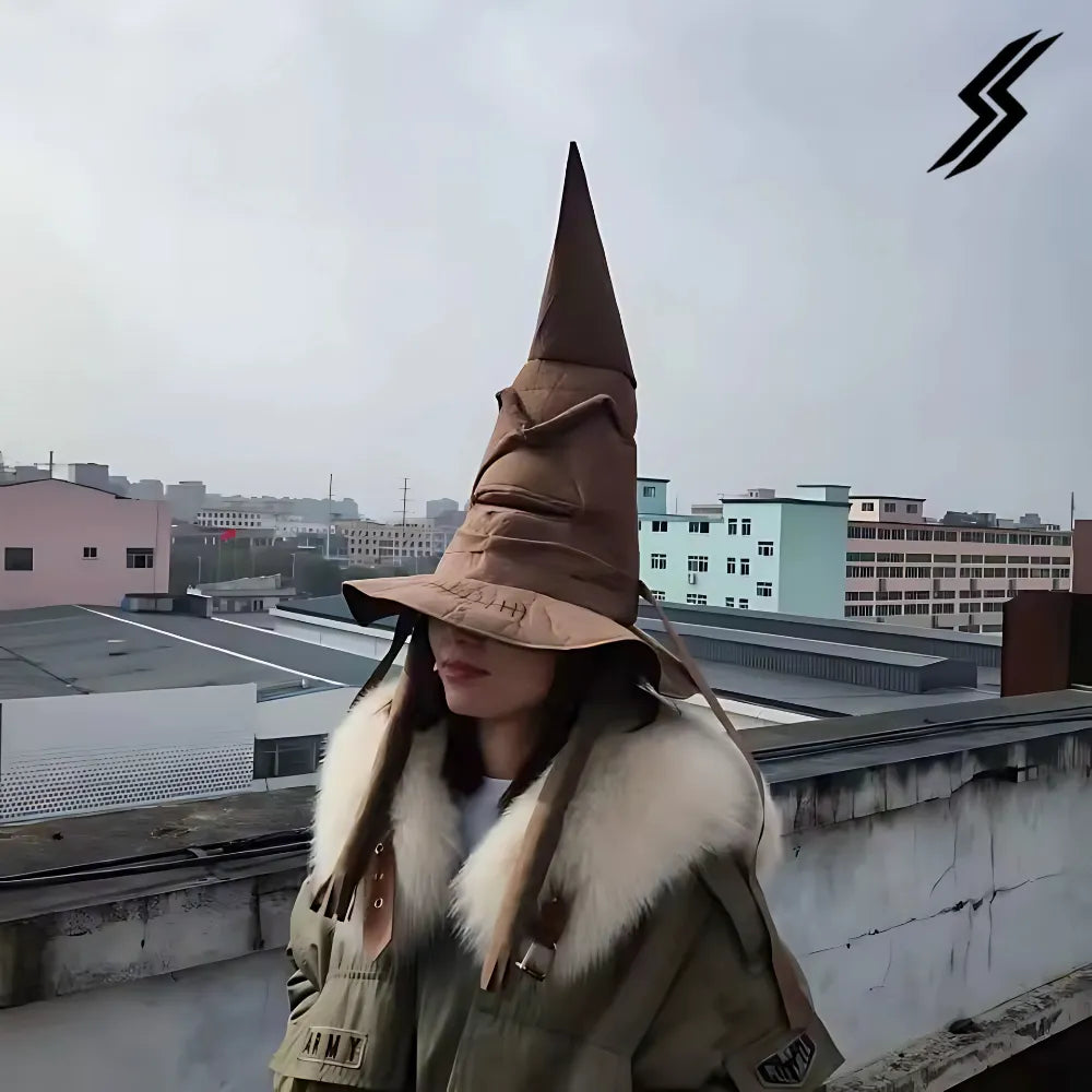 Chapéu harry potter
